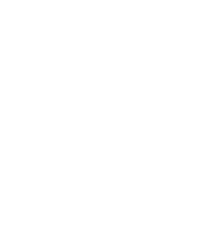 Bunte Liste/Die Linke
